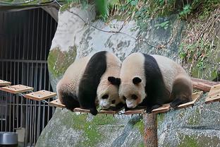 彪马发布曼城龙年特别版球衣，与中国球迷一起庆祝农历新年